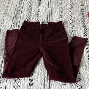 Burgundy Velvet Pants
